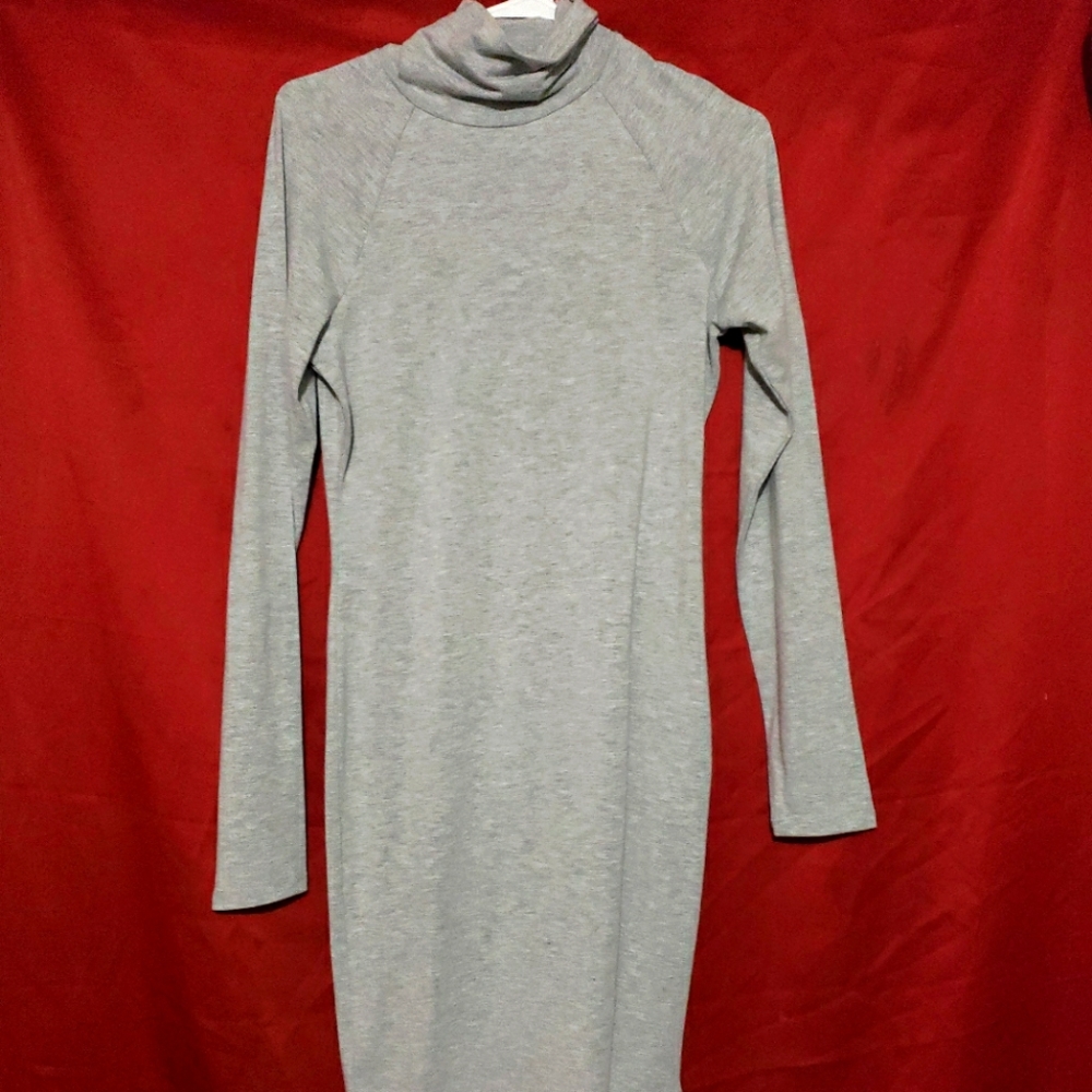 NWT Forever 21 Turtle Neck Dress